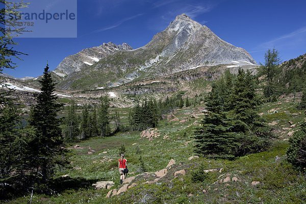 hoch  oben  Ländliches Motiv  ländliche Motive  Rocky Mountains  British Columbia  Kanada