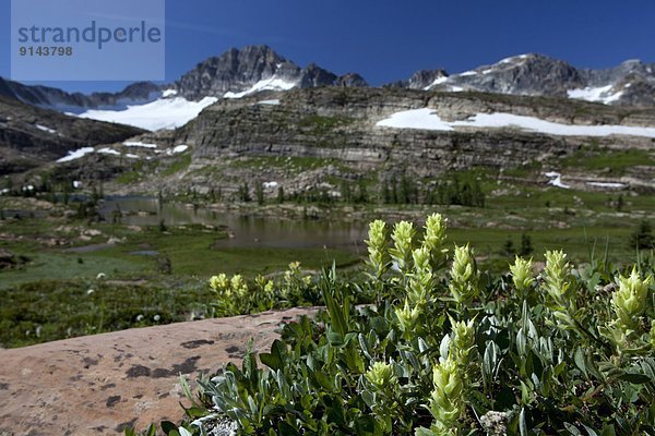 hoch  oben  Pinsel  See  Ländliches Motiv  ländliche Motive  Rocky Mountains  British Columbia  Kanada  Kalkstein  Russell