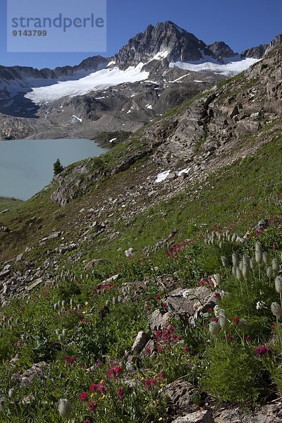 hoch  oben  Pinsel  über  See  Ländliches Motiv  ländliche Motive  Rocky Mountains  British Columbia  Kanada  Kalkstein  Russell