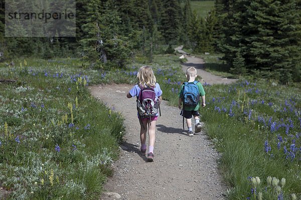 Junge - Person  Berg  wandern  Wiese  jung  Mädchen  British Columbia  Kanada
