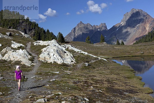 Vereinigte Staaten von Amerika  USA  wandern  amerikanisch  jung  Mount Baker  Mädchen  Grenze  Washington State