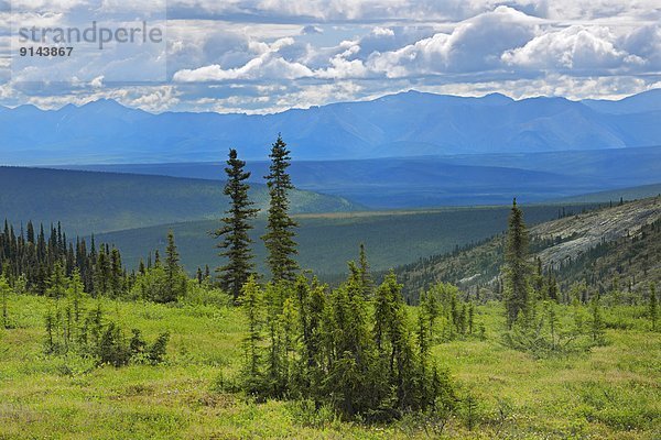 Landschaftlich schön  landschaftlich reizvoll  Berggipfel  Gipfel  Spitze  Spitzen  Bundesstraße  Kanada  Yukon