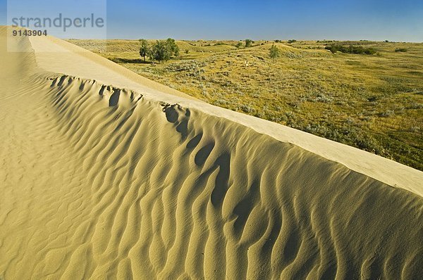 Sand  Düne  Saskatchewan  Kanada  kanadisch  Prärie