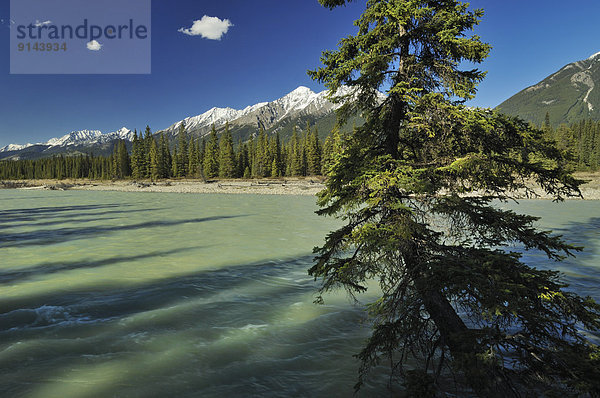 Kootenay Nationalpark  British Columbia  Kanada