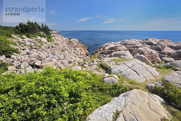 Felsen  folgen  Küste  Gewölbe  Kanada  Nova Scotia  Neuschottland