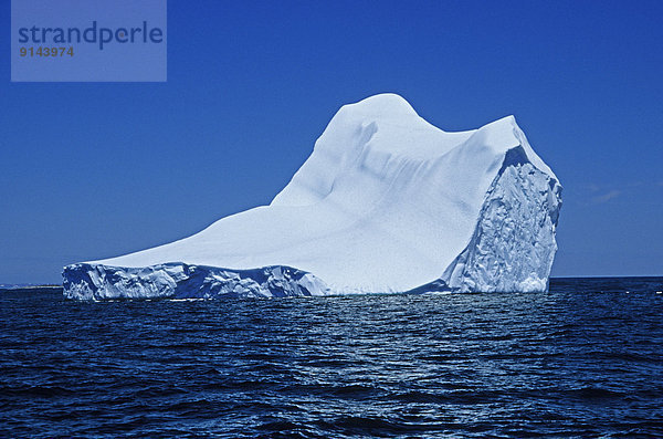 Eisberg Ozean fließen Atlantischer Ozean Atlantik Neufundland Kanada