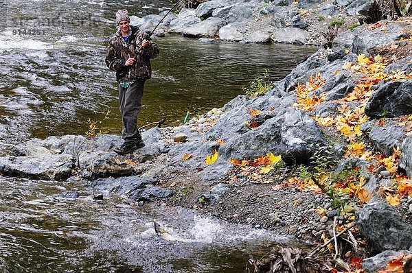 nahe  Mann  Freundschaft  klein  Fluss  angeln  jung  Lachs  Landschaft  Kanada