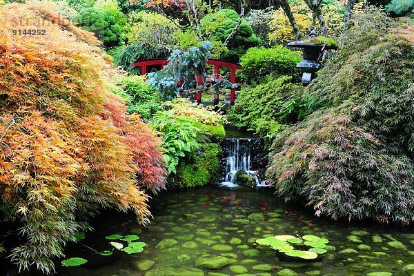 Garten  Kanada  japanisch