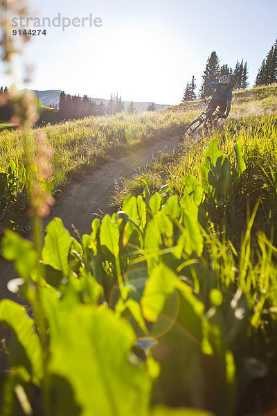 Berg  folgen  fahren  Teamgeist  Crested Butte