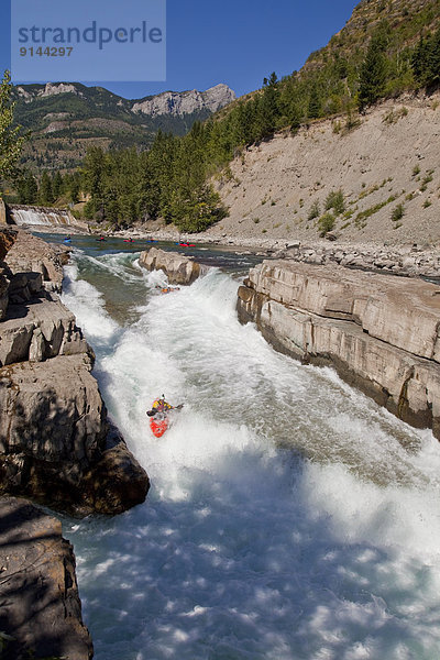 Elch  Alces alces  Anschnitt  Herausforderung  rennen  Fluss  Kajakfahrer  Fernie  British Columbia