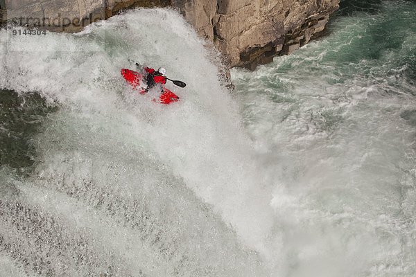 Elch  Alces alces  springen  Vertrauen  rennen  Fluss  Kajakfahrer  Wasserfall  Fernie  British Columbia  30