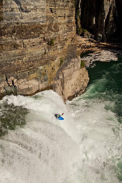 Elch  Alces alces  springen  Vertrauen  rennen  Fluss  Kajakfahrer  Wasserfall  Fernie  British Columbia  30