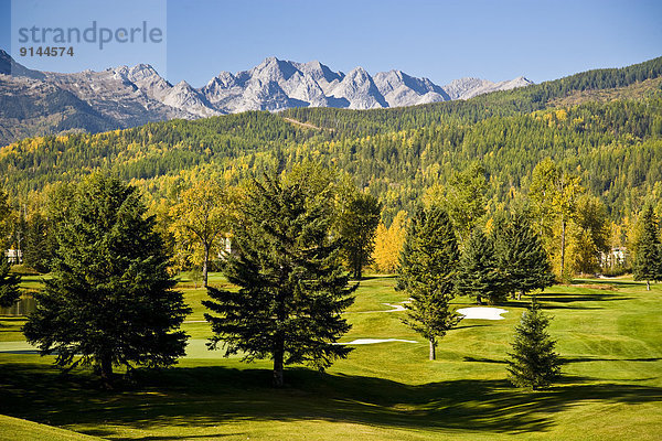 Hintergrund  Herbst  Golfsport  Golf  Fernie  British Columbia  Kanada  Kurs  Echse