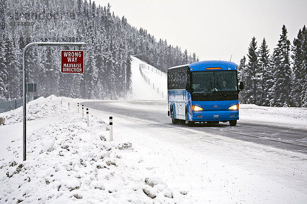 nahe  Winter  Zeichen  Tagesausflug  See  Bundesstraße  Omnibus  Ausdauer  unaufrichtig  Banff  Kanada  Signal  Weg