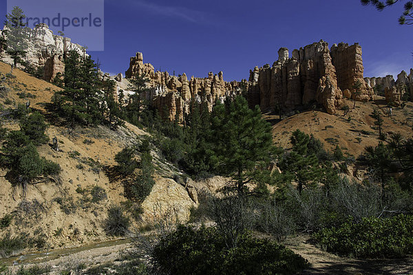 Vereinigte Staaten von Amerika  USA  folgen  Höhle  Steinschlag  Moos  Bryce Canyon Nationalpark  Schlucht  Utah