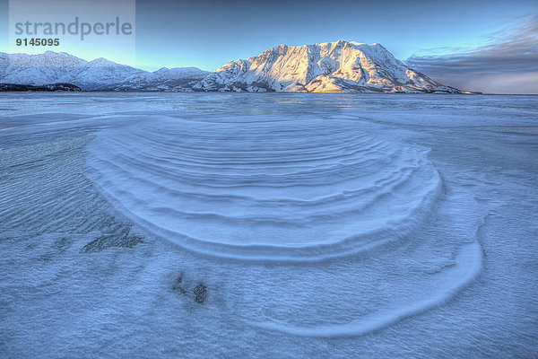 entfernt  Bodenhöhe  Muster  Schnee  Berg  blasen  bläst  blasend  Wind  Schaf  Ovis aries  See  Produktion  Neugier  Kluane Nationalpark  gefroren  Yukon