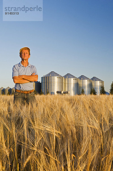 Getreide  Mann  Hintergrund  reifer Erwachsene  reife Erwachsene  Feld  Gerste  Kanada  Manitoba