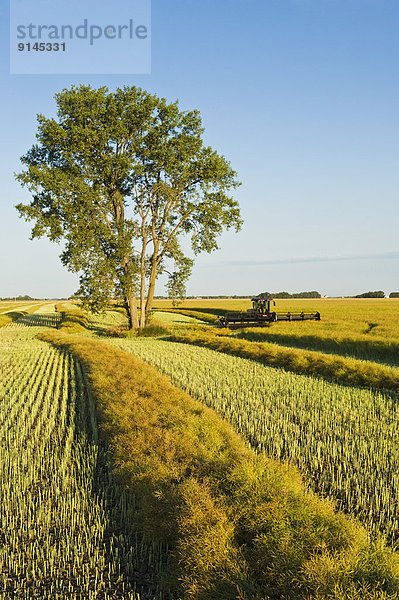 Kanada  Manitoba