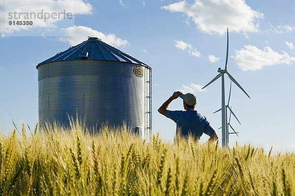 Windturbine Windrad Windräder Getreide Mann über Hintergrund reifer Erwachsene reife Erwachsene Weizenfeld