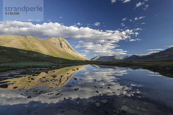 klein  Hügel  Spiegelung  umgeben  Jasper Nationalpark  Alberta  Kanada  Tarn