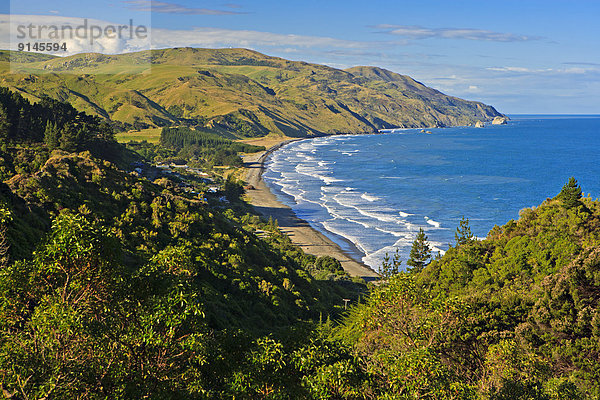 Ostküste  neuseeländische Südinsel  Neuseeland