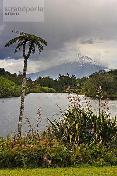 See  Hintergrund  neuseeländische Nordinsel  Neuseeland