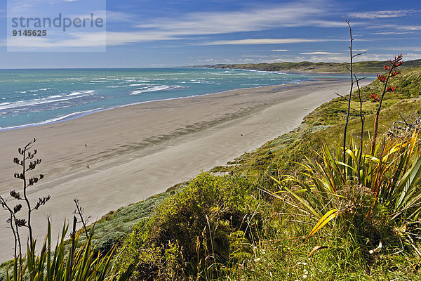 Strand  Fernverkehrsstraße  vorwärts  neuseeländische Nordinsel  Neuseeland  Westküste