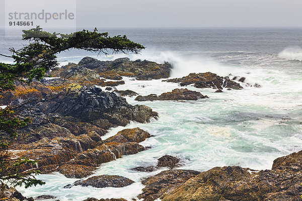 sehen  folgen  Küste  ungestüm  Pazifischer Ozean  Pazifik  Stiller Ozean  Großer Ozean  British Columbia  Kanada  Ucluelet  Vancouver Island