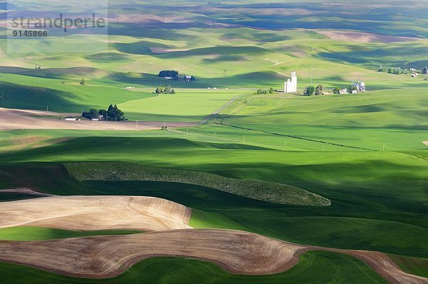 Vereinigte Staaten von Amerika USA rollen Bauernhof Hof Höfe Landschaft Geographie Palouse