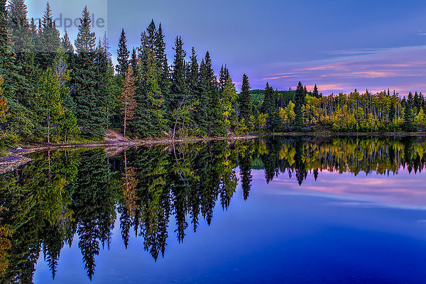 Wasser  Baum  Himmel  Sonnenaufgang  Spiegelung  See  Freundlichkeit  Reflections