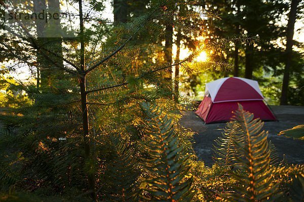 Außenaufnahme  Morgen  baden  Beleuchtung  Licht  Campingplatz  früh  Urlaub  Zuiderzee  Stellplatz  Nanaimo  British Columbia  Kanada  Vancouver Island