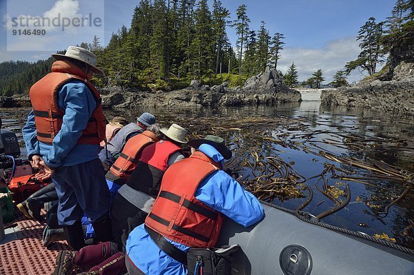 Bett  Tourist  Insel  aufblasen  Königin  Ökologie  Sternzeichen  British Columbia  Kanada  Untersuchung  Haida  Seetang