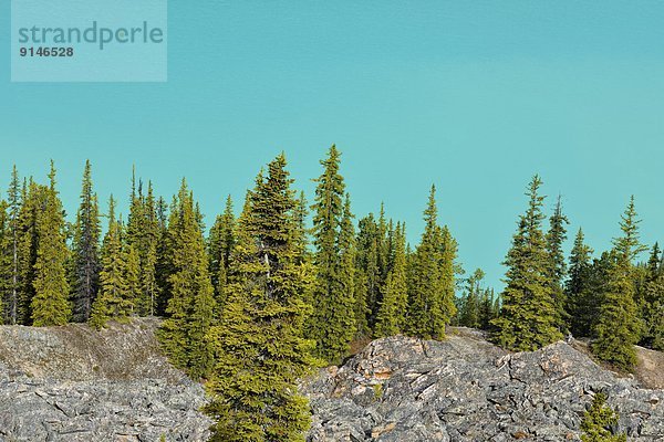 Peyto Lake  Banff-Nationalpark  Alberta  Kanada