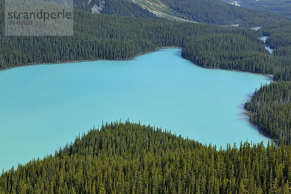 Peyto Lake  Banff-Nationalpark  Alberta  Kanada