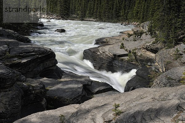 Banff Nationalpark  Alberta  Kanada