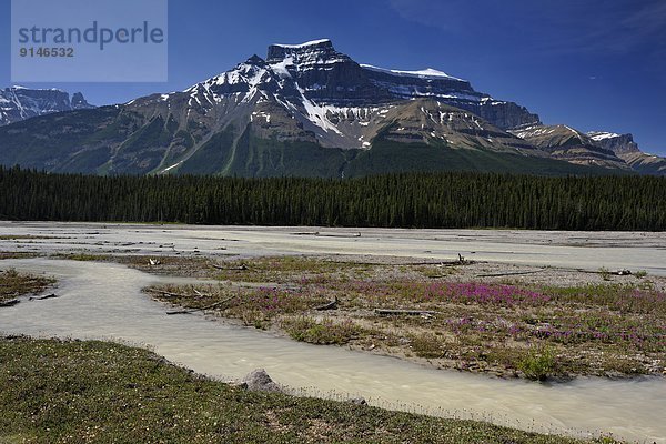 Saskatchewan  Banff Nationalpark  Alberta  Kanada