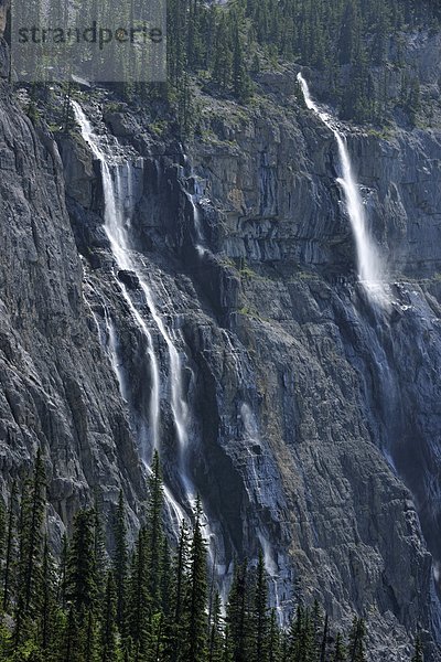 Banff Nationalpark  Alberta  Kanada