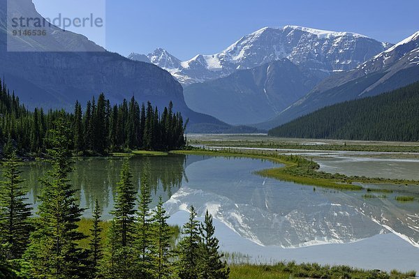 nahe  Beauty  Fluss  Spiegelung  Bach  Jasper Nationalpark  Alberta  Kanada  Kitchener