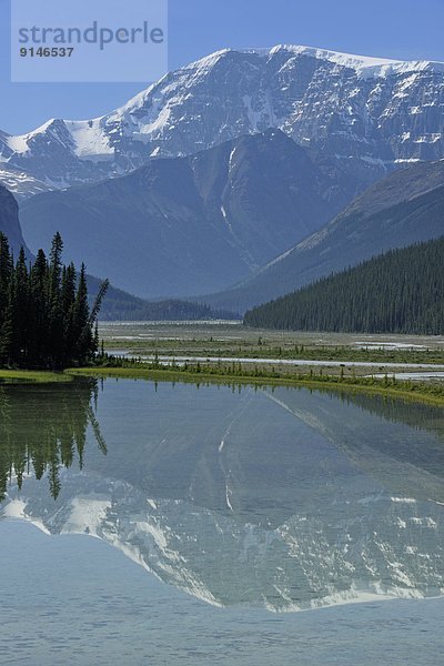 nahe  Beauty  Fluss  Spiegelung  Bach  Jasper Nationalpark  Alberta  Kanada  Kitchener