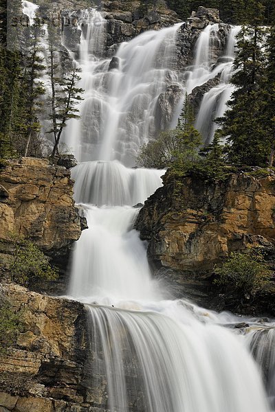 Jasper Nationalpark  Alberta  Kanada