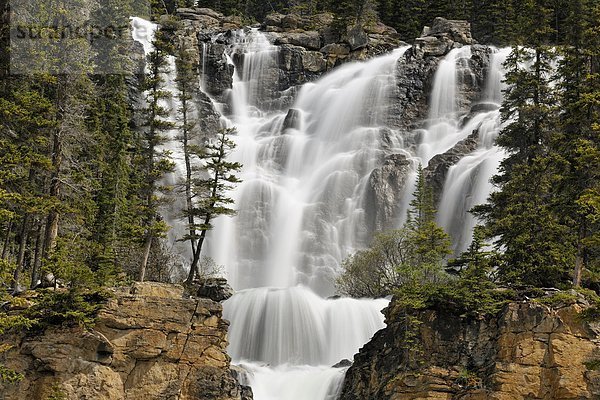 Jasper Nationalpark  Alberta  Kanada