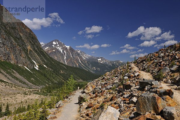 Jasper Nationalpark  Tonquin Valley  Alberta  Kanada