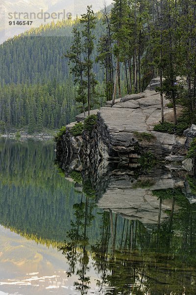 Jasper Nationalpark  Alberta  Kanada