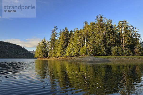 Insel  Königin  British Columbia  Kanada  Haida