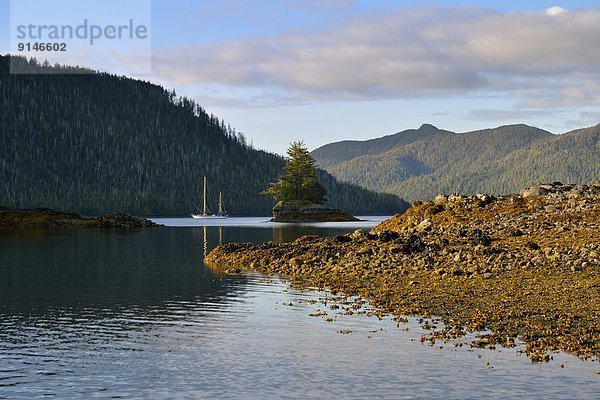 Beleuchtung  Licht  Ozean  Tretboot  Insel  Königin  Bucht  British Columbia  Kanada  Haida