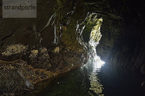 Forschung  Meer  Insel  Höhle  zeigen  Königin  Poole  British Columbia  Kanada  Haida