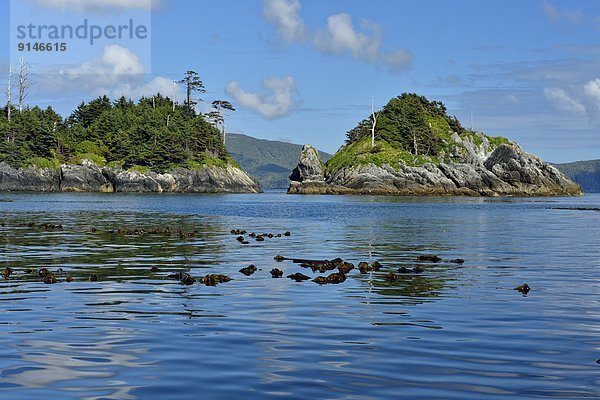 nahe  Felsen  Ruhe  Meer  Insel  Königin  British Columbia  Kanada  Haida