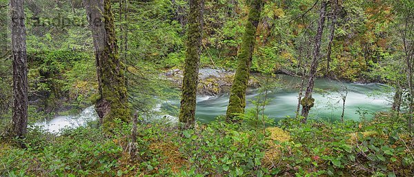 Farbaufnahme  Farbe  Wasser  klein  fließen  Fluss  Schlucht  marineblau  British Columbia  tief  schmal