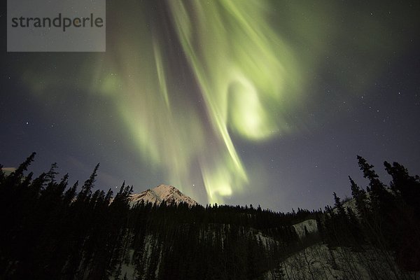 hoch  oben  Außenaufnahme  Nacht  Beleuchtung  Licht  Himmel  Polarlicht  Aurora  Yukon