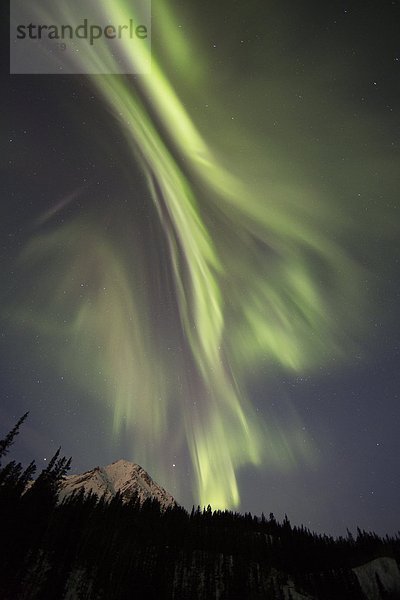 nahe  Nacht  Himmel  Polarlicht  Aurora  Yukon